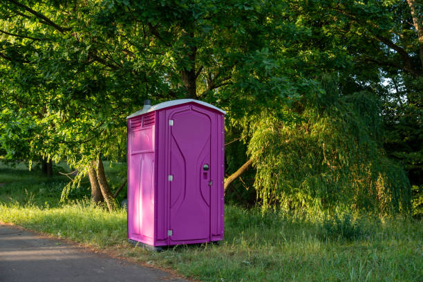 Portable Toilet Options We Offer in Womelsdorf, PA